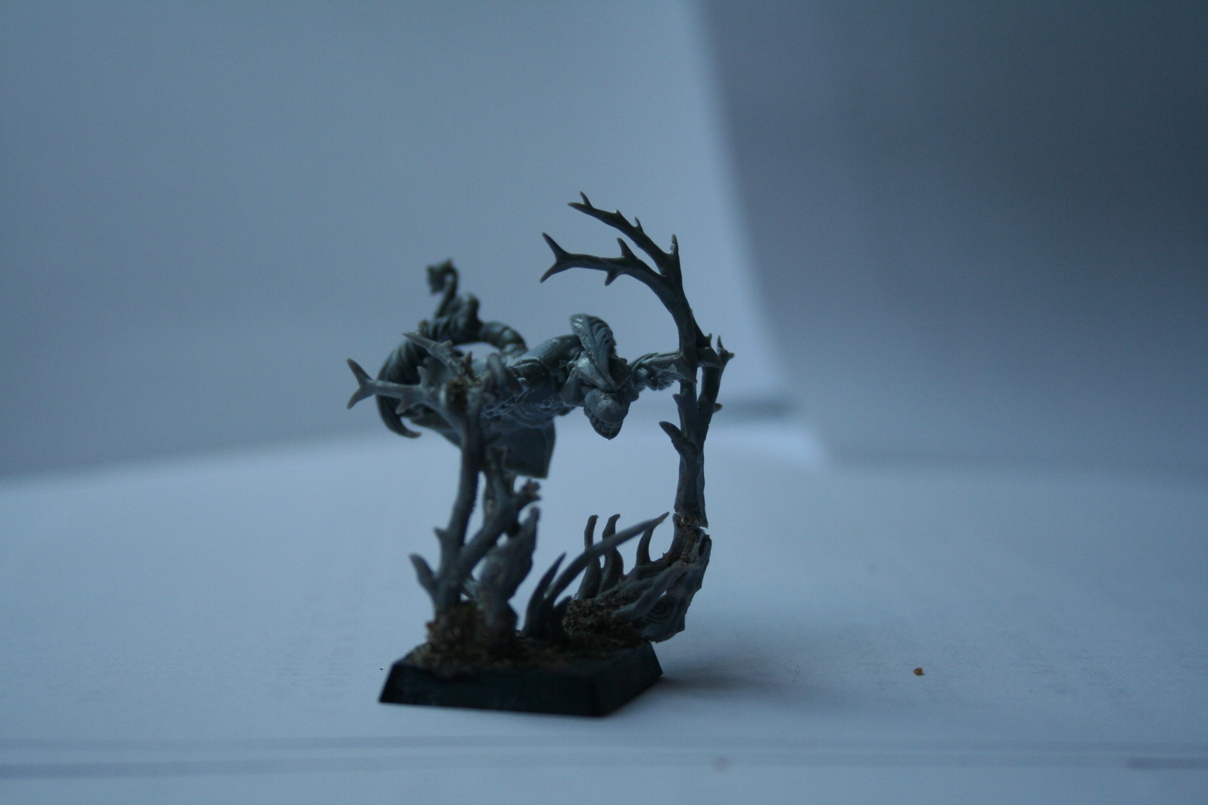 Image attach&eacute;e