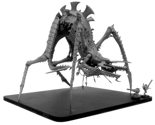 Image attach&eacute;e